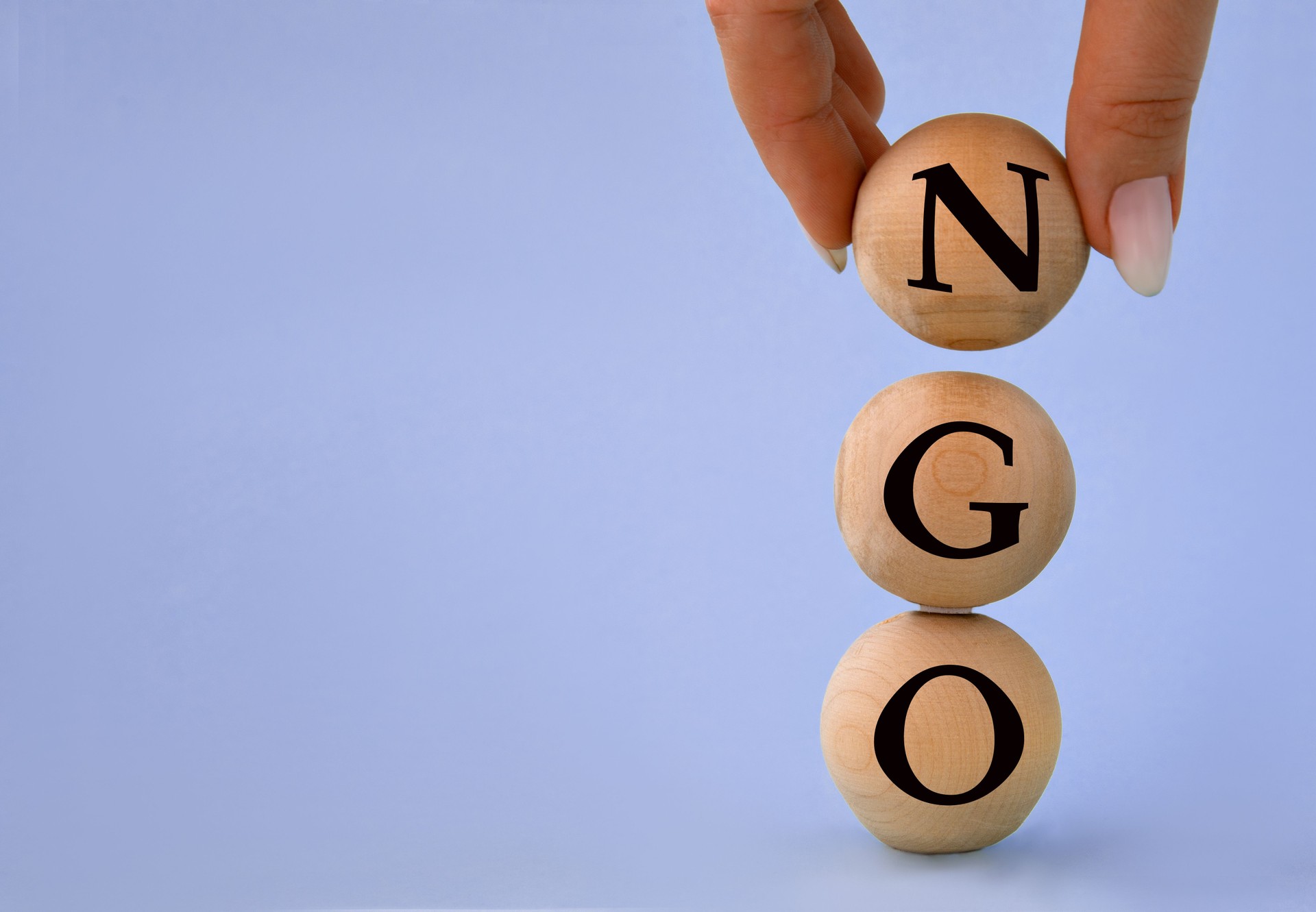 NGO \ Charitable Organisations Services